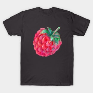 Raspberry in Colored Pencils T-Shirt